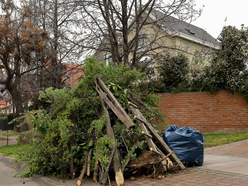Tree Branch Disposal in Ventura County, CA