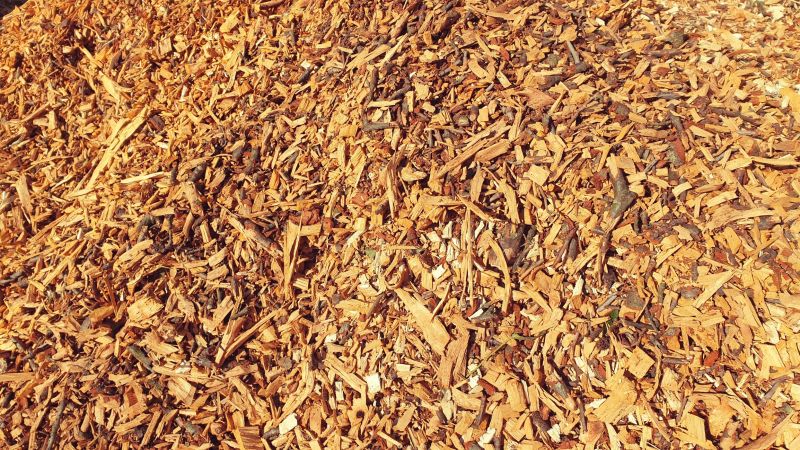 Wood Chippings Mulching Garden